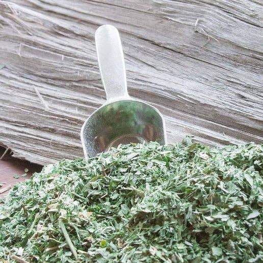 Herb Jar - Alfalfa Leaf