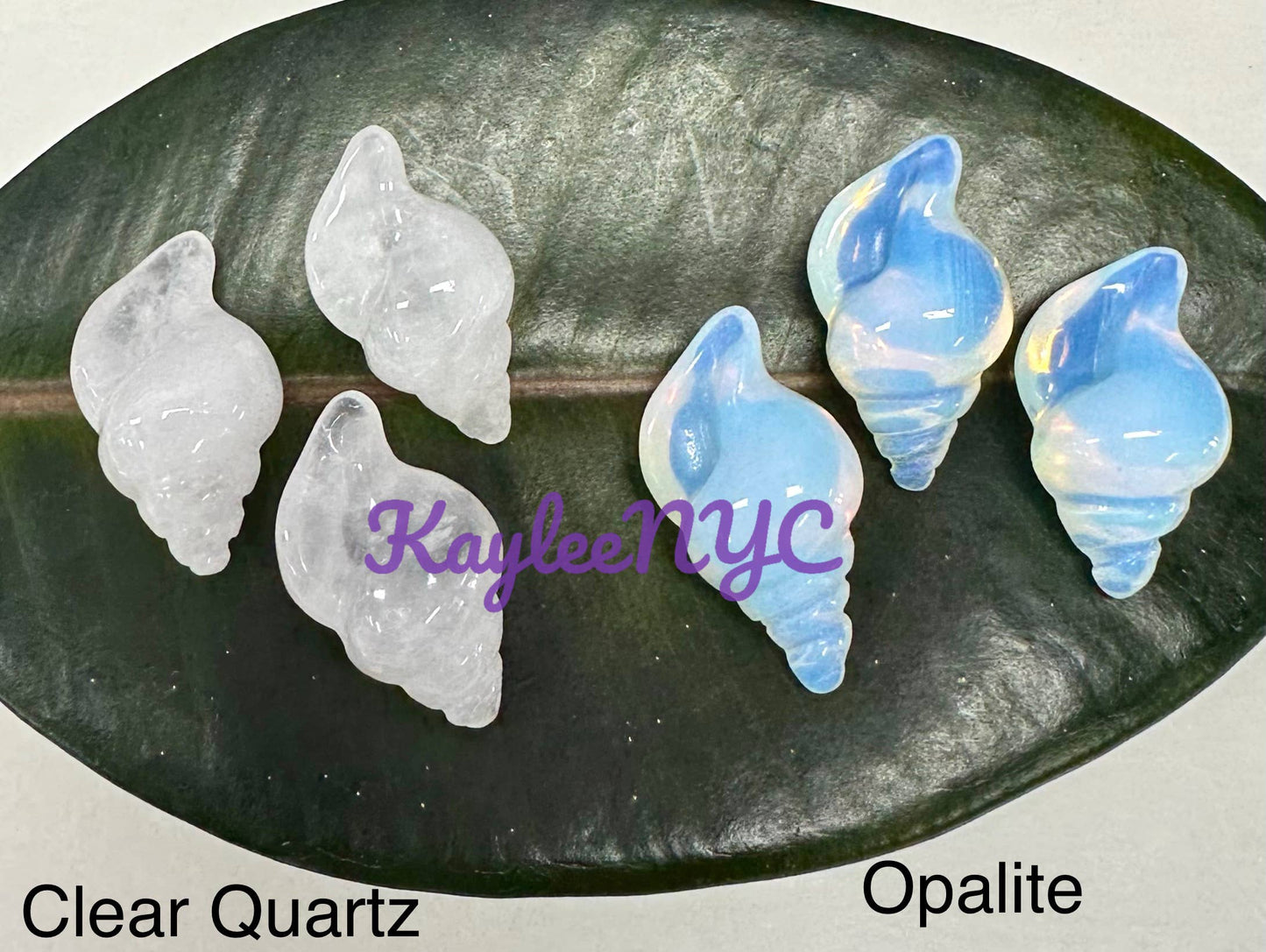 Crystal Sea Shell