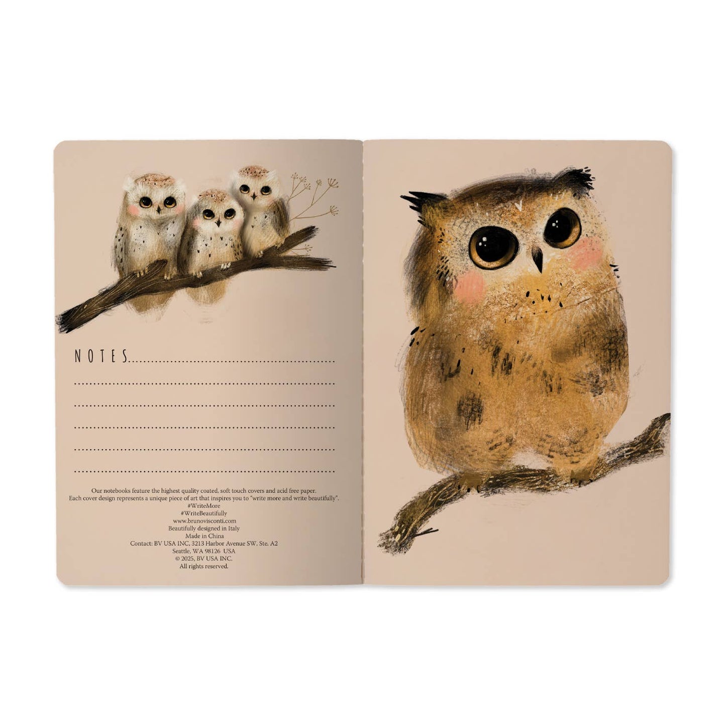 Notebook -  Owlets