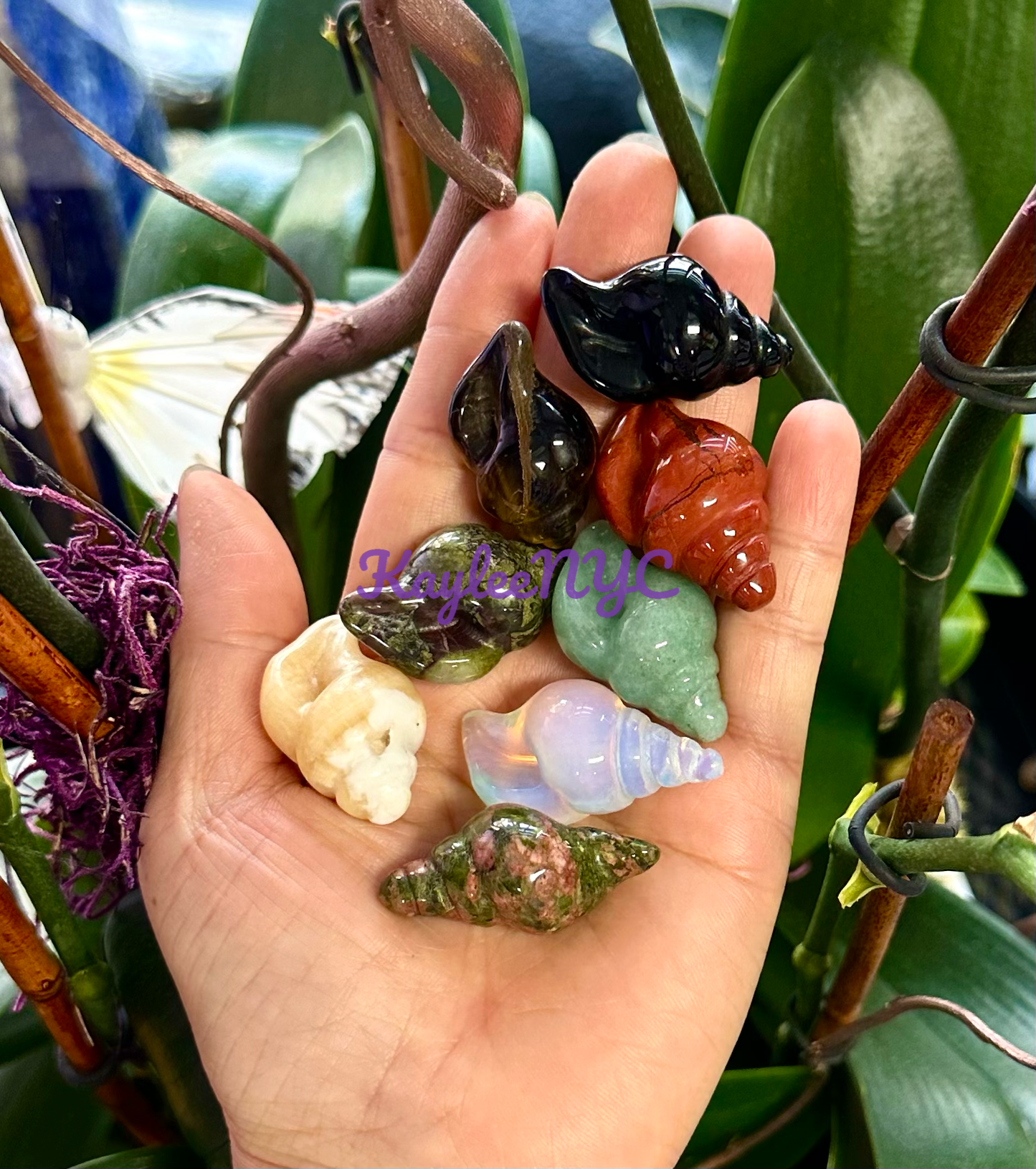 Crystal Sea Shell