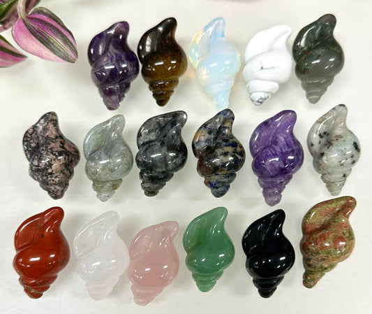 Crystal Sea Shell