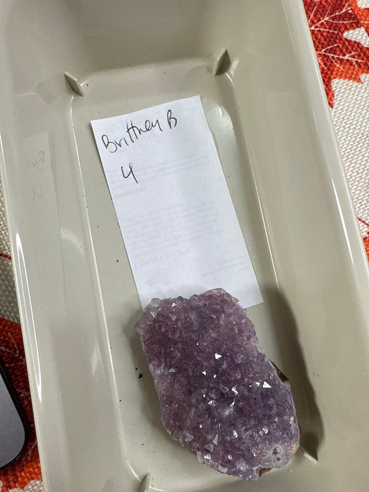 Brittney🍀 B | 11/9 & 11/16 **