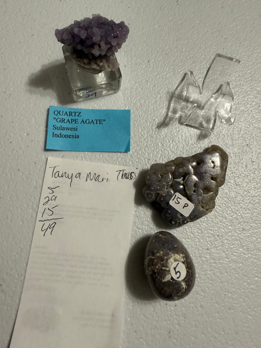 Tanya Mari Tues 10/7 & Thurs 10/9 "The Nose Knows & Purple n Green"