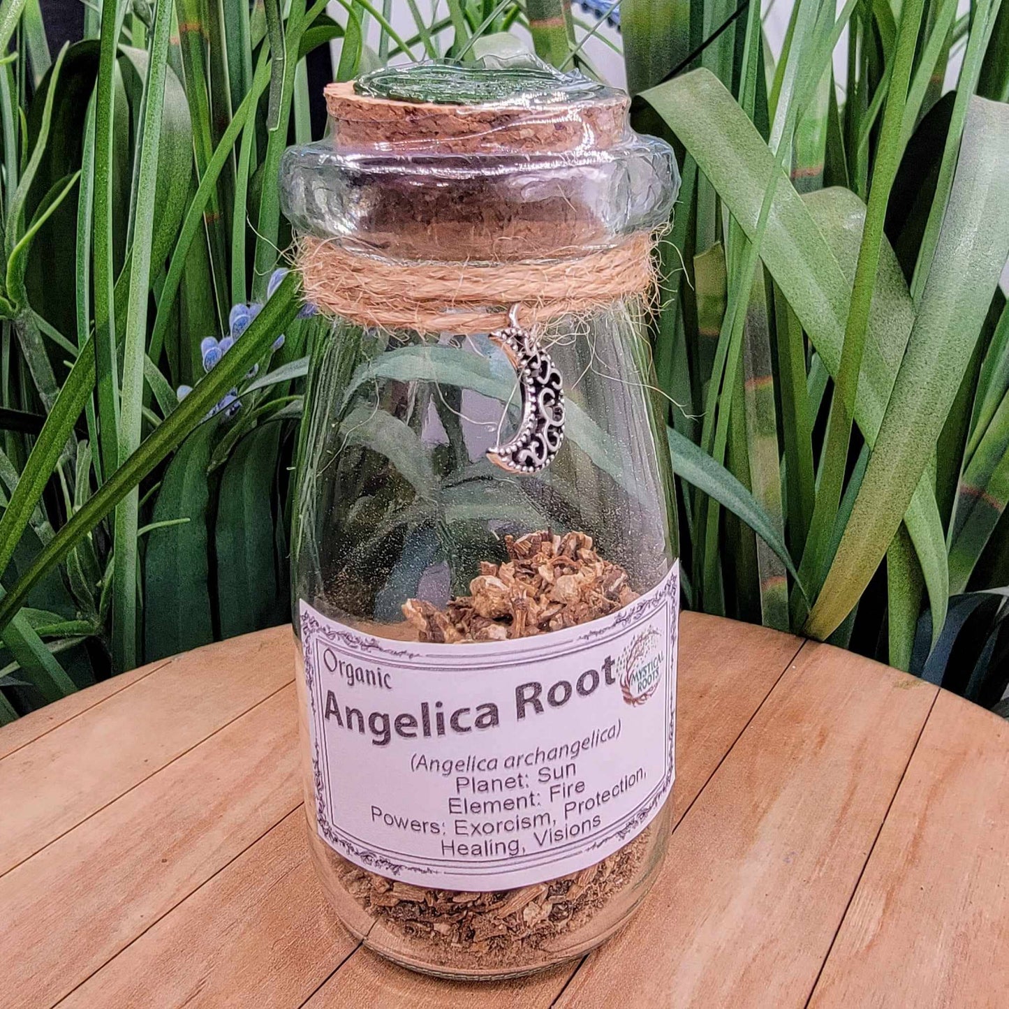 Herb Jar - Angelica Root