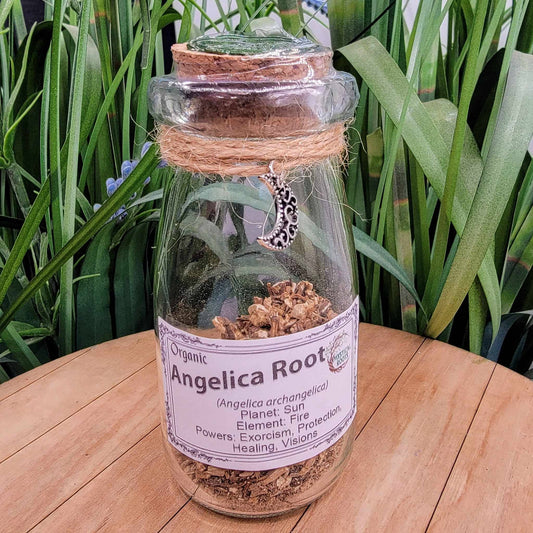 Herb Jar - Angelica Root