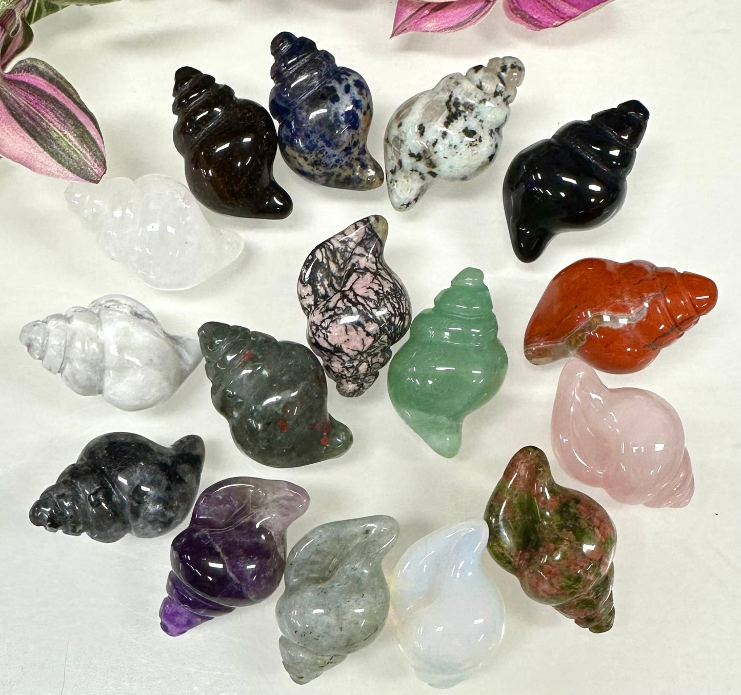 Crystal Sea Shell